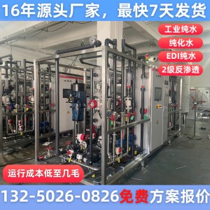 大型净水设备工业纯水商用反渗透净水器EDI超纯水软化水制水装置